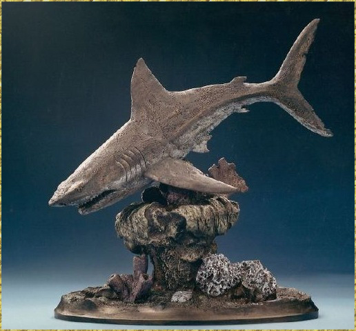 Great White Shark